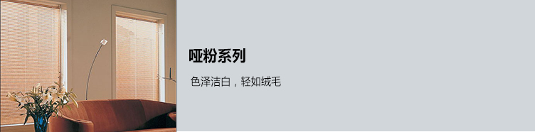 啞粉